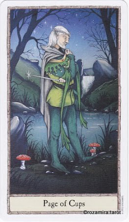 Hobbit Tarot by Peter Pracownik & Terry Donaldson